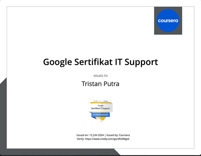 IT Support Professional